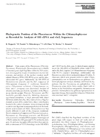 Phylogenetic Position of the Phacotaceae Within the Chlamydophyceae As Revealed by Analysis of 18S Rdna and Rbcl Sequences