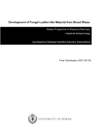 Development of Fungal Leather-Like Material from Bread Waste