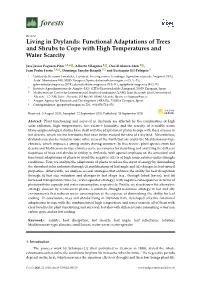 Living in Drylands: Functional Adaptations of Trees and Shrubs to Cope with High Temperatures and Water Scarcity