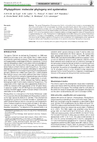 &lt;I&gt;Phytopythium&lt;/I&gt;: Molecular Phylogeny and Systematics