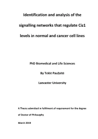 Identification and Analysis of the Signalling Networks That Regulate Ciz1 Levels in Normal and Cancer Cell Lines