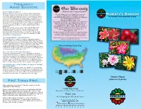 Desert Rose FREQUENTLY ASKED QUESTIONS FIRST THINGS FIRST