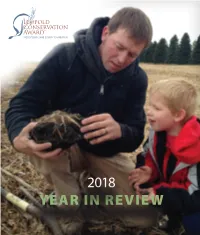 2018 Year in Review