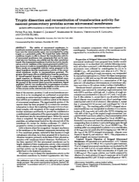 Tryptic Dissection and Reconstitution of Translocation Activity for Nascent Presecretory Proteins Across Microsomal Membranes