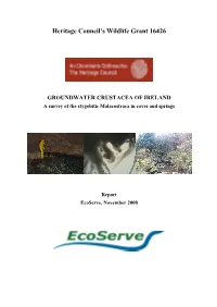 A Survey of the Groundwater Macro-Crustacea Of
