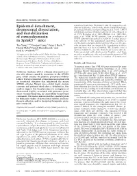 Epidermal Detachment, Desmosomal Dissociation, and Destabilization of Corneodesmosin in Spink5-/- Mice