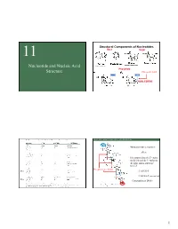 Foundations of Molecular Biologydtv2.Pptx