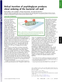 Helical Insertion of Peptidoglycan Produces Chiral Ordering of the Bacterial Cell Wall