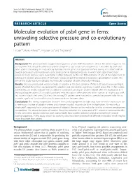 Molecular Evolution of Psba Gene in Ferns: Unraveling Selective Pressure and Co-Evolutionary Pattern Lin Sen1,2, Mario a Fares3,4, Ying-Juan Su5 and Ting Wang2*