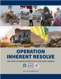 Operation Inherent Resolve, Report to the United