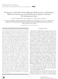 Phylogeny of the Bee Genus Halictus (Hymenoptera: Halictidae) Based on Parsimony and Likelihood Analyses of Nuclear EF-1A Sequen