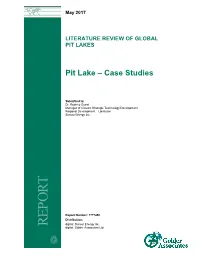 Pit Lake – Case Studies