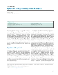 Epithelia and Gastrointestinal Function