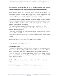 Hypomethylation-Linked Activation of PLCE1 Impedes Autophagy and Promotes Tumorigenesis Through MDM2-Mediated Ubiquitination and Destabilization of P53
