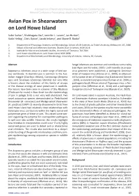 Avian Pox in Shearwaters on Lord Howe Island
