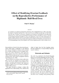 Effect of Modifying Ovarian Feedback on the Reproductive Performance of Highlands Half-Bred Ewes