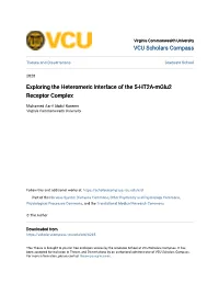 Exploring the Heteromeric Interface of the 5-HT2A-Mglu2 Receptor Complex