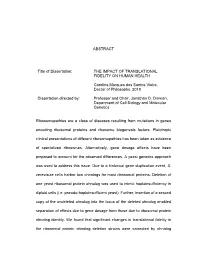 ABSTRACT Title of Dissertation: the IMPACT of TRANSLATIONAL