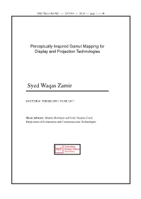 Syed Waqas Zamir