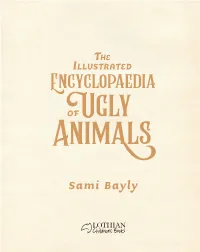 The-Encyclopaedia-Of-Ugly-Animals-Extract.Pdf