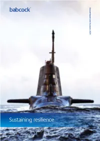 Annual Report and Accounts 2020 Sustaining Resilience