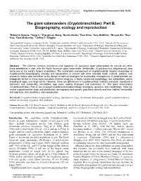 The Giant Salamanders (Cryptobranchidae): Part B
