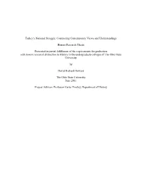 Turkey's National Struggle: Contrasting Contemporary Views