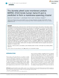 The Borrelia Afzelii Outer Membrane Protein BAPKO 0422 Binds Human Factor-H and Is Predicted to Form a Membrane-Spanning Β-Barrel