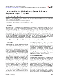 Understanding the Mechanism of Gamete Release in Sargassum Vulgare C
