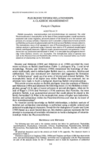 A Cladistic Reassessment
