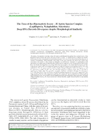 &lt;I&gt;Hyponephele Lycaon&lt;/I&gt;