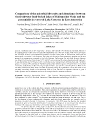 Comparison of the Microbial Diversity and Abundance Between The