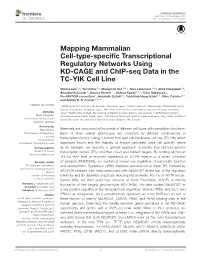Mapping Mammalian Cell-Type-Specific Transcriptional