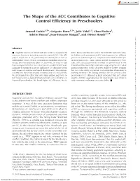 The Shape of the ACC Contributes to Cognitive Control Efficiency in Preschoolers
