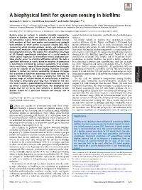 A Biophysical Limit for Quorum Sensing in Biofilms