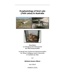 Ecophysiology of Feral Cats (Felis Catus) in Australia