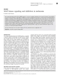 MAP Kinase Signaling and Inhibition in Melanoma