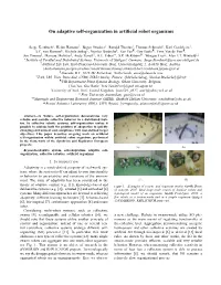 On Adaptive Self-Organization in Artificial Robot Organisms