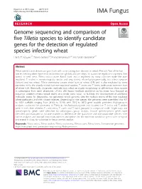 Genome Sequencing and Comparison of Five Tilletia Species to Identify Candidate Genes for the Detection of Regulated Species Infecting Wheat Hai D