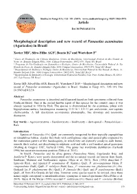 Morphological Description and New Record of Panaeolus Acuminatus (Agaricales) in Brazil