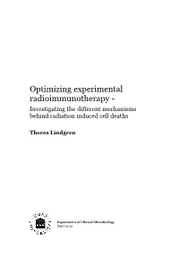 Optimizing Experimental Radioimmunotherapy - Investigating the Different Mechanisms Behind Radiation Induced Cell Deaths