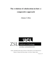 The Evolution of Echolocation in Bats: a Comparative Approach