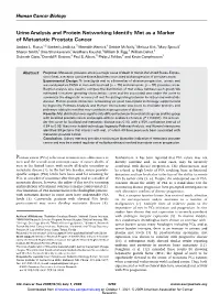 Urine Analysis and Protein Networking Identify Met As a Marker of Metastatic Prostate Cancer