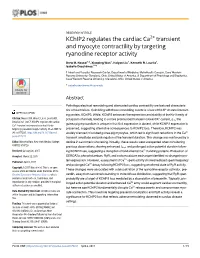 Kchip2 Regulates the Cardiac Ca2+ Transient and Myocyte Contractility by Targeting Ryanodine Receptor Activity