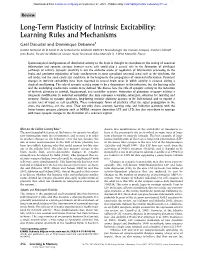 Long-Term Plasticity of Intrinsic Excitability