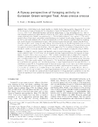 A Flyway Perspective of Foraging Activity in Eurasian Green-Winged Teal, Anas Crecca Crecca