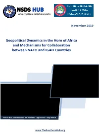 Geopolitical Dynamics in the Horn of Africa and Mechanisms for Collaboration Between NATO and IGAD Countries