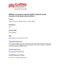 Multiple Scavengers Respond Rapidly to Pulsed Carrion Resources at the Land-Ocean Interface