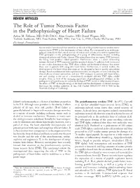The Role of Tumor Necrosis Factor in the Pathophysiology of Heart Failure Arthur M