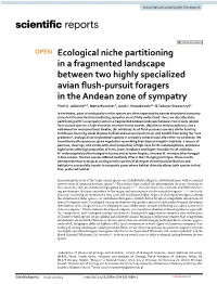 Ecological Niche Partitioning in a Fragmented Landscape Between Two Highly Specialized Avian Fush‑Pursuit Foragers in the Andean Zone of Sympatry Piotr G